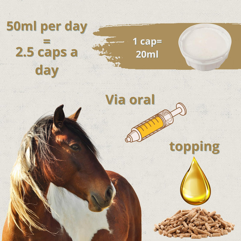 Skingcare Dermatological Oil Supplement for Horses 1L - Omega 3-6-9 with Linseed, Camelina, Sunflower and Salmon - Nutritional Support for Dry Skin, Hair Loss and Coat Health