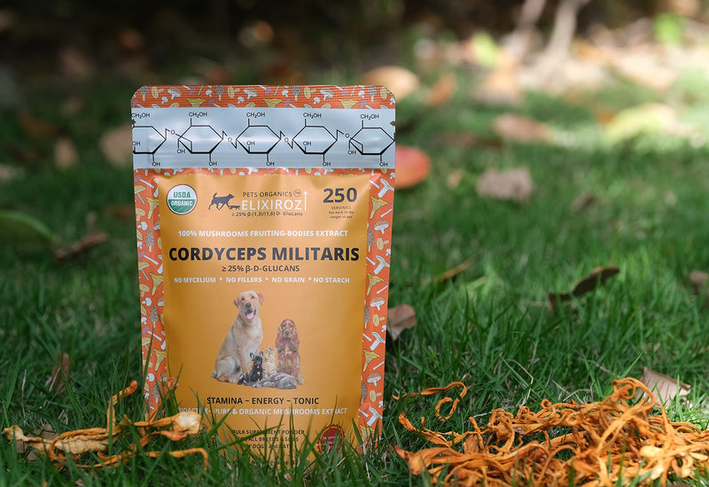 PURE CORDYCEPS M >25% β-glucans,100% Mushrooms Fruiting Bodies 8-12:1 Extract for Dogs & Cats Stamina, Energy & Tonic. Anti inflammatory. Immune, Brain, Kidney, Liver health. 250 SERVINGS for 25lb pet - PawsPlanet Australia