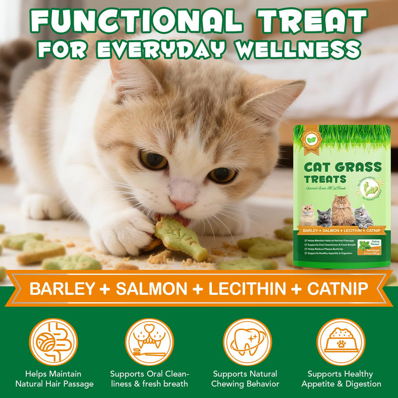 Cat Grass Treats,Cat Treats for Indoor Hairball Control,Delicious Kitten Grass Teething Stick for Hairball Remove and Teeth Cleaning,Catnip Flavour