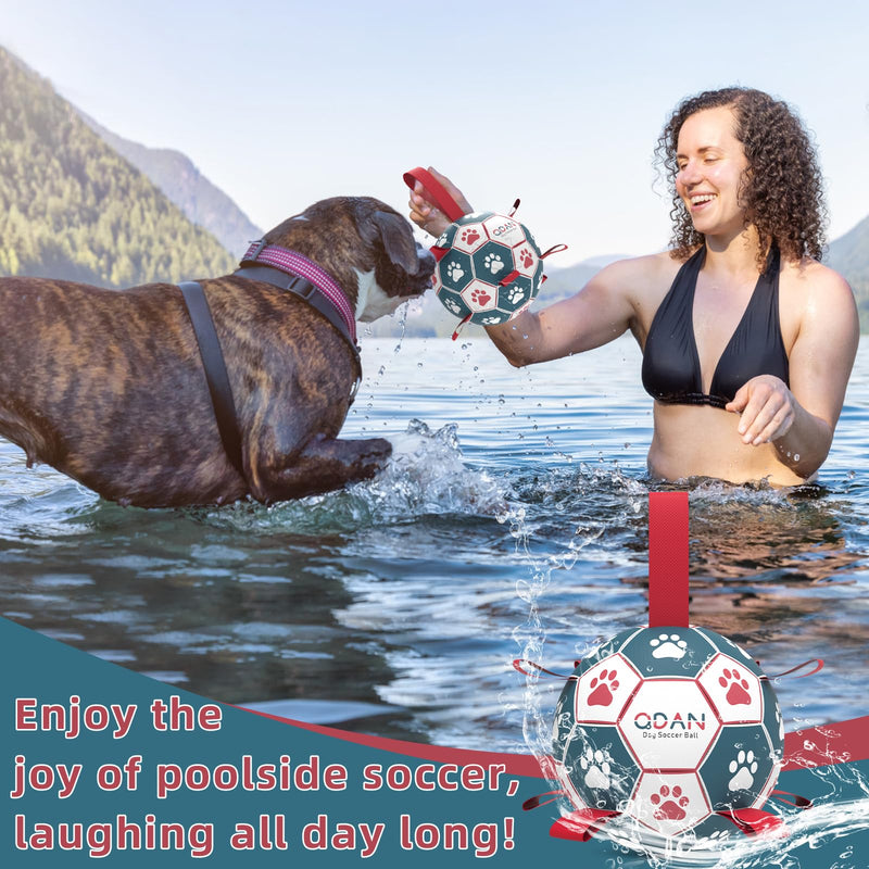 QDAN Dog Toys Soccer Ball with Straps, Interactive Toys for Tug of War, Puppy Birthday Toy, Dog Water Toy, Dog Balls for Small Medium Dog (6 Inch) Medium Size 2 Blue Red - BeesActive Australia