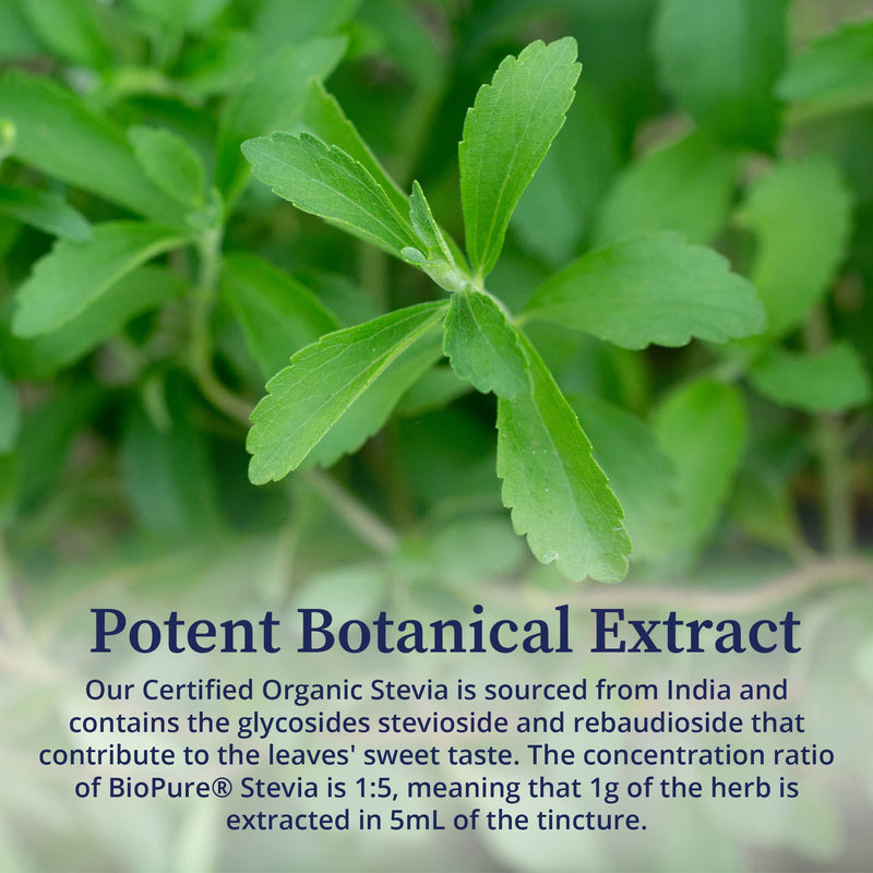 BioPure Stevia Certified Organic Extract ‚Äì Whole Leaf Herbal Tincture with Bioactive Compounds to Support Immune Function, Microbiome Balance & Gut Health ‚Äì 2 fl oz - BeesActive Australia