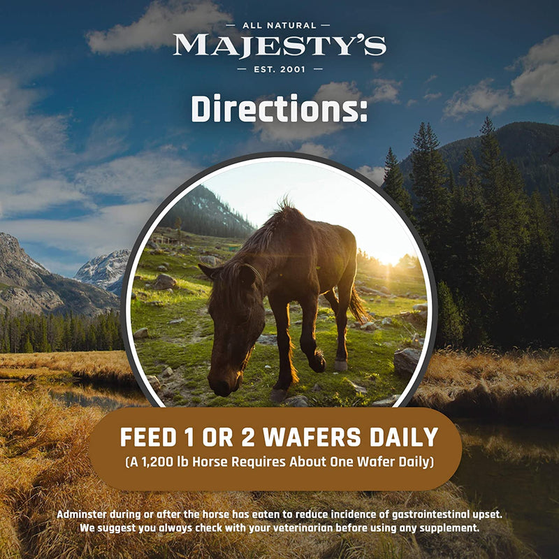 Majesty's Omega Wafers - Superior Horse / Equine Skin, Coat, and Immune Support Supplement - Omega 3, 6, 9, and Biotin - 30 Count (1 Month Supply) - BeesActive Australia