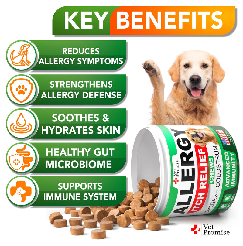 Dog Allergy Relief Chews - 170 Dog Allergy Chews - Itch Relief for Dogs - Anti Itch for Dogs - Dry & Itchy Skin - Allergies & Immune Support Supplement, Omega 3 Fish Oil, Colostrum - Made in USA