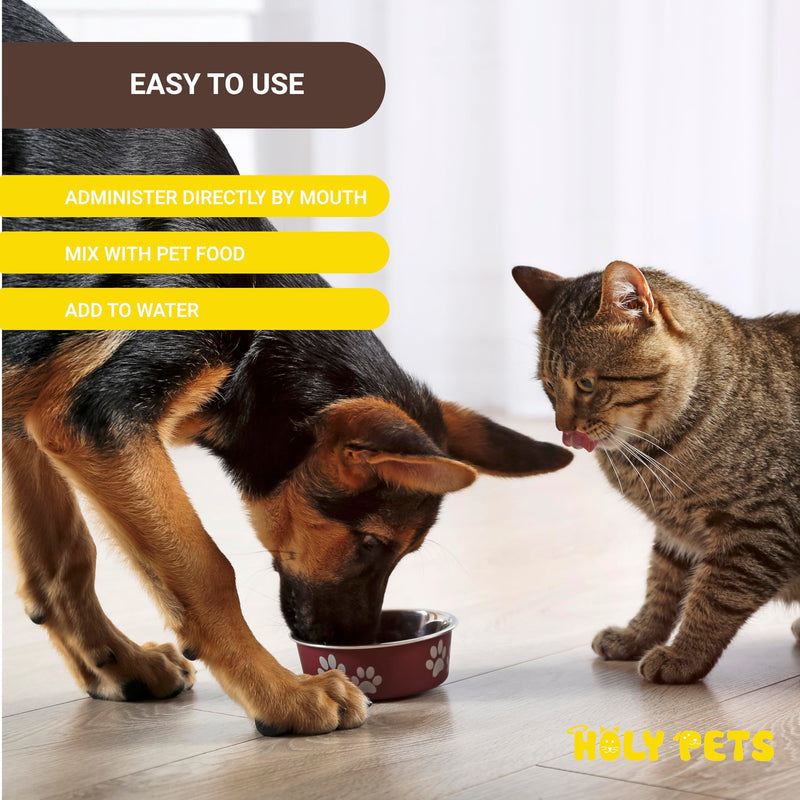 Cough Medicine for Dogs & Cats, Respiratory Infection Support - Sneezing Relief & Kennel Cough Treatment - Pet Asthma Support - Made with Natural Ingredients in The USA - PawsPlanet Australia