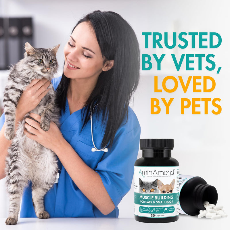 Muscle Support Pet Supplement for Small Dogs & Cats with CaHMB & Vitamin D3 – All Ages & Senior Dog Supplements for Muscle Strength, Mobility & Daily Activity – (30 Capsules, 2-Pack) 180 mg