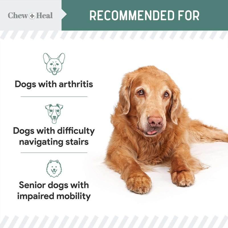 Glucosamine for Dogs Hip and Joint Supplement - 120 Soft Chews for Senior Dogs with Glucosamine, Chondroitin, MSM, Vitamin C, and Omegas - for Mobility, Cartilage, and Joint Health Chicken - BeesActive Australia
