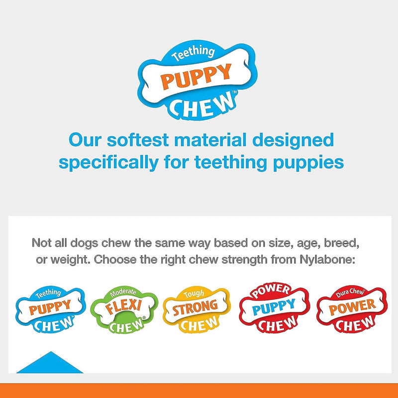 Nylabone Teething Puppy Chew Starter Kit, Two Puppy Chew Toys and Puppy Chew Treat, Puppy Supplies, Chicken & Bacon Flavor, Small/Regular (3 Count) Small/Regular (3 Count) - BeesActive Australia