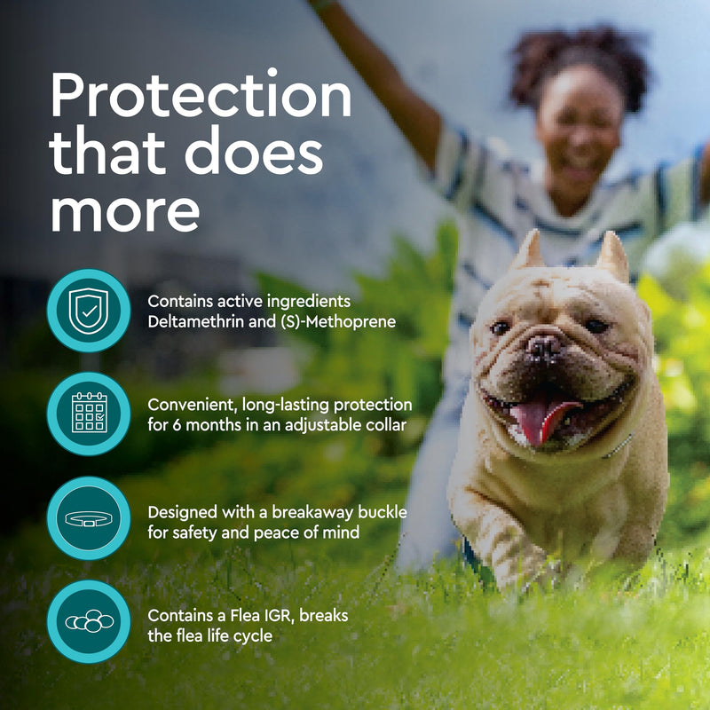 Provecta® PRO Flea & Tick Collar for Dogs