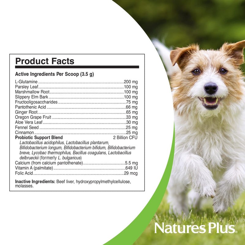 NaturesPlus FurBaby Digestive Support for Dogs - 7.4 oz - Promotes Optimal Digestion - Non-GMO - 60 Servings - PawsPlanet Australia