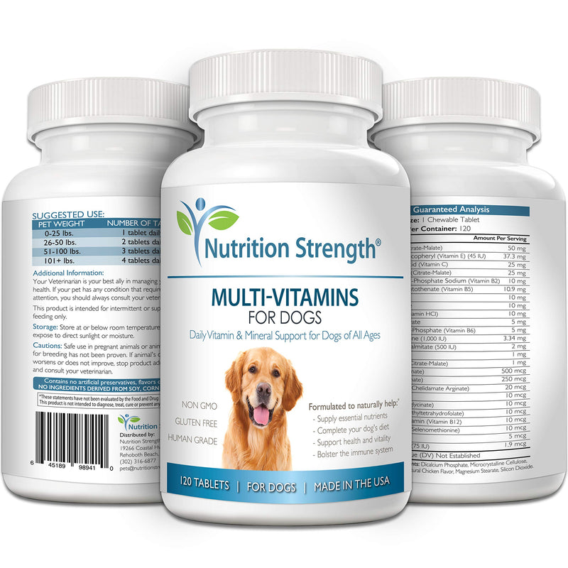 Multivitamins for Dogs, Daily Vitamin and Mineral Support, Nutritional Dog Supplements for All Canine Breeds and Sizes, Promotes Immune Health in Pets, 120 Chewable Tablets - PawsPlanet Australia