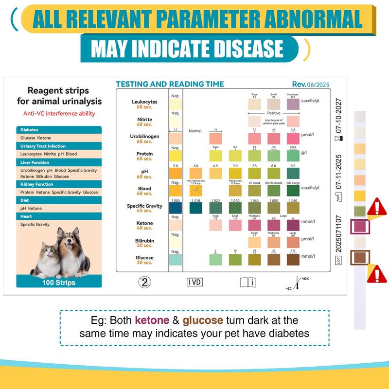 100 x Pet Urine Testing Strips, 10 in 1 UTI Test Kit for Cat & Dog, Multi-Parameter Urinalysis Reagent Strips: Leukocytes, Urobilinogen, Protein, Ph, Blood, Ketone, Bilirubin, Glucose & More - BeesActive Australia