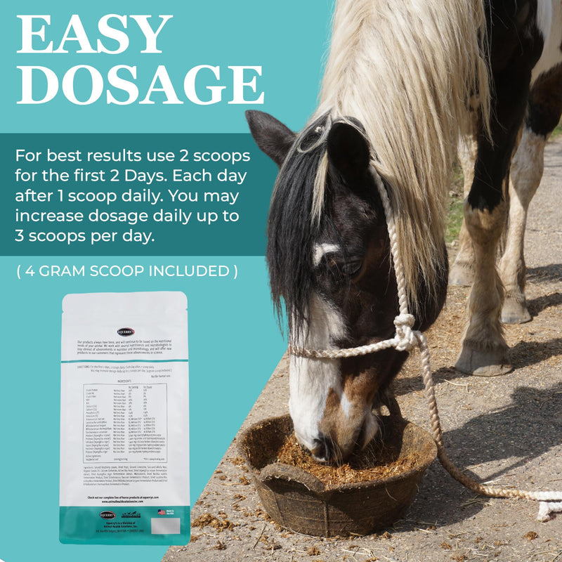 EQUERRY'S Angel Maker, Raspberry Leaf, Microencapsulated Probiotics Supplement for Horse Ulcer Treatment & Digestive Health Calmness & Focus 8 oz