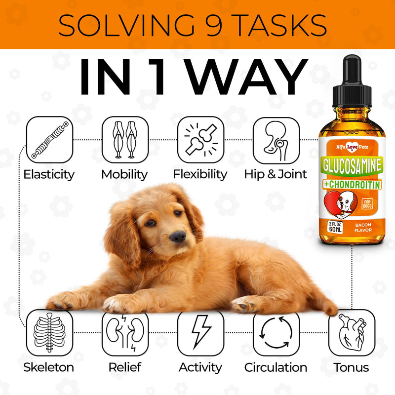Dog Joint Supplement – Glucosamine Chondroitin for Dogs and Puppies – MSM in The Composition – Care for Joints, HIPS, Muscles, & Ligaments – Bacon Flavor – 2 Oz - PawsPlanet Australia
