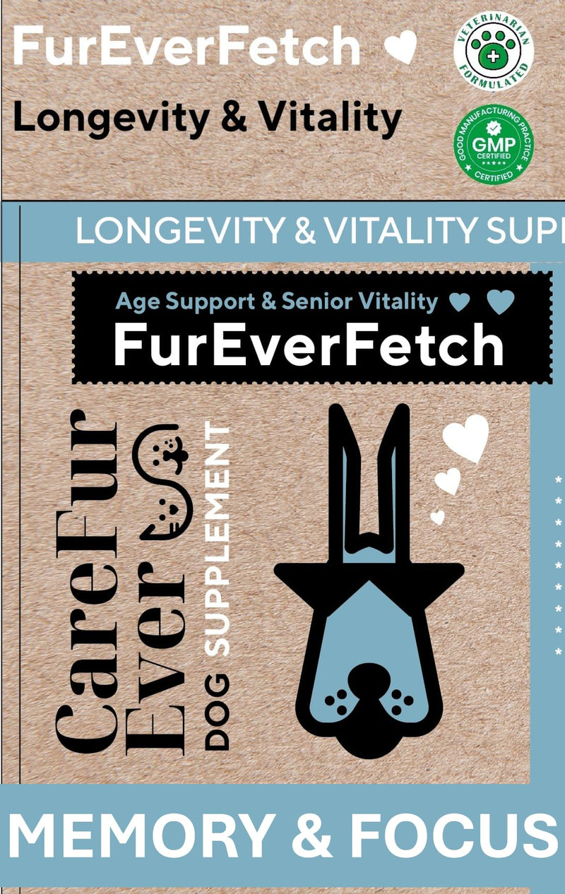 Supplement Treats for Senior Dogs ~ Brain & Vision Support | Slows Cognitive Decline ~ Lion's Mane & Turkey Tail | Memory, Focus & Immune Health | Veterinary-Grade Nootropic Formula | 30 Chews