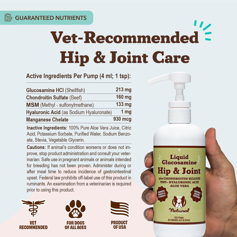 Natural Dog Company Glucosamine & Salmon Oil Bundle for Dogs – Hip, Joint, Skin & Coat Support – Promotes Mobility, Itch Relief & Immune Health – 16 oz Each