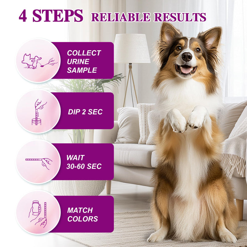 Dog & Cat Urine Test Strips, 4-in-1 Pet Urinalysis Testing Kit for Ketone, Glucose, pH and Nitrite, Reagent Strips for Vet Diabetes,UTI Monitor, 50ct Urine Test Kit Easy to Use at Home 4in1