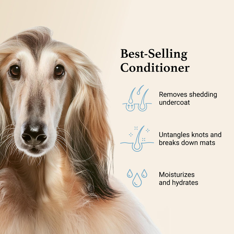 iGroom Deshedding & Detangling Dog Conditioner, Luxury Pet Beauty Care, Loosen Tangles + Unwanted Undercoat, Adds Shine + Volume, Made in USA (16 OZ) 16 OZ - BeesActive Australia
