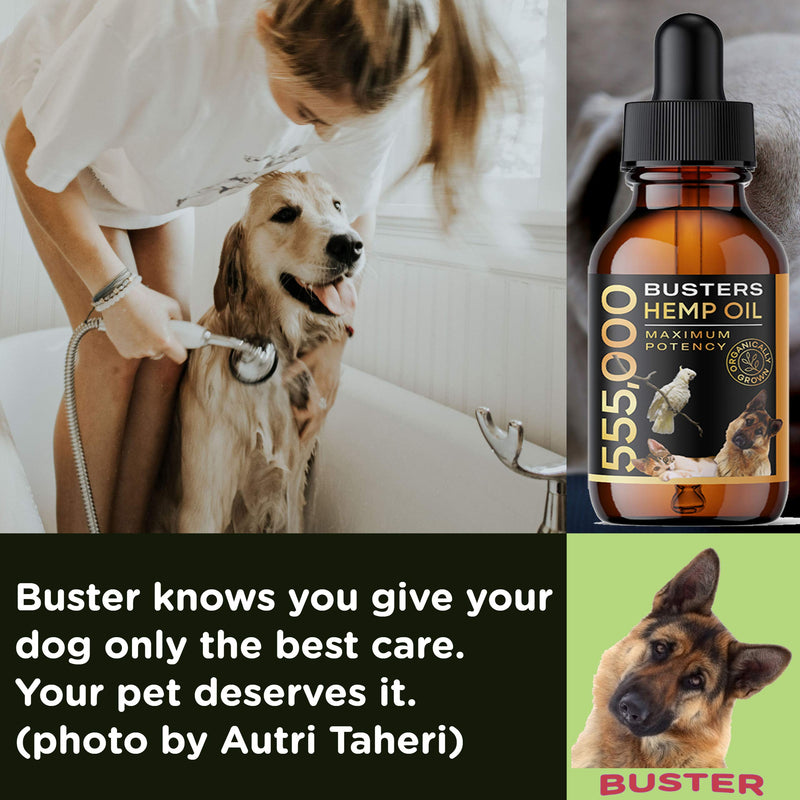 3Pack 6Month Supply Buster's Organic Hemp Oil for Dogs and Pets 555000, Large 60ml Bottle Miracle Formula, Perfectly Balanced Omegas 3, 6, 9 - Joint Support, Calming