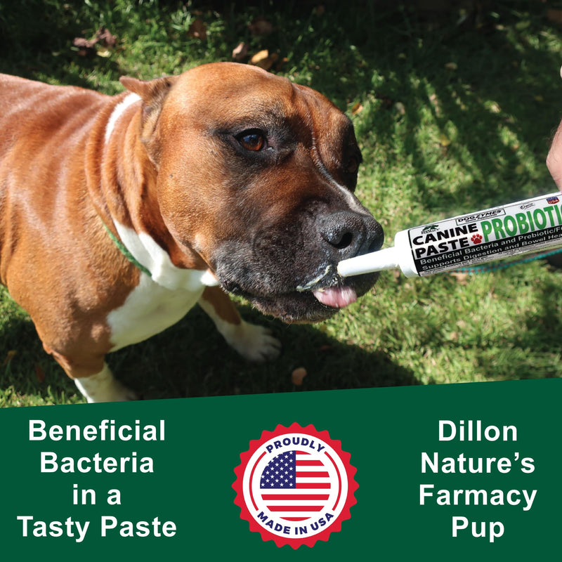 Dogzymes Canine Probiotic Paste Beneficial Bacteria-Enzyme 2.3 Billion CFU/gm Saccharomyces boulardii Organic Dried Honey Powder (15 Gram) 15 Gram