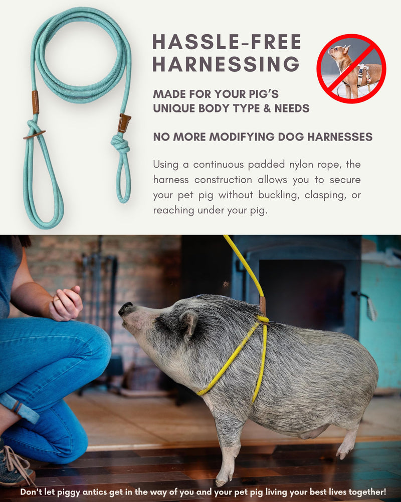 Pig Harness Leash-Fully Adjustable Pig Leash Harness for Small & Medium Pigs-Easy Step in Harness-Infinity Style Pet Pig Leash-Durable & Gentle Mini Pig Harness-Mini Pig Supplies (Small-Mauve Pink) Mauve Pink - BeesActive Australia