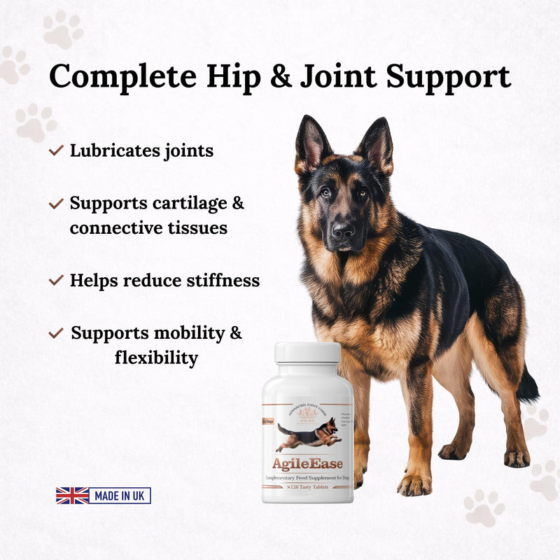 EQ K9 AgileEase Hip & Joint Supplements for Dogs (Senior & Adult), Advanced Joint Care with Glucosamine, MSM, Chondroitin & Green Lipped Mussel, Hyaluronic Acid Dog Joint Supplements,60Tablets 60