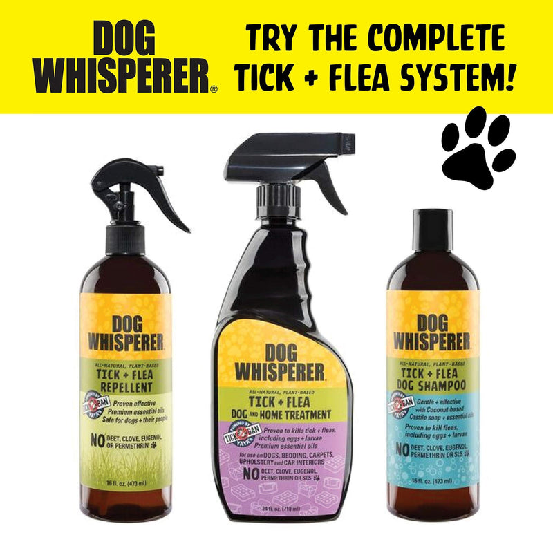 Dog Whisperer Tick + Flea Repellent, All-Natural, Extra Strength, Effective on Dogs and Their People (16 Ounce Spray) 16 oz - BeesActive Australia