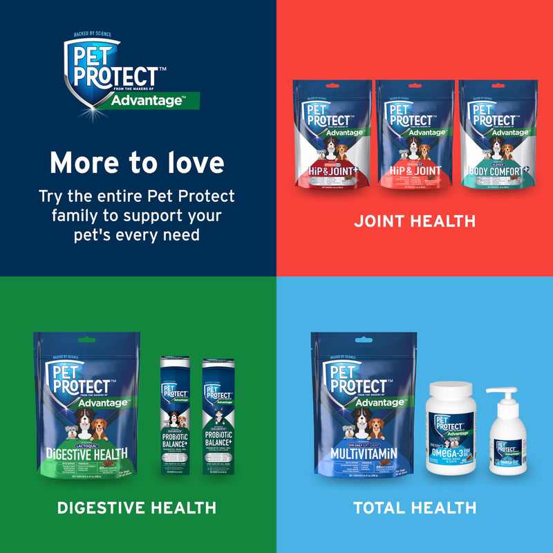 Pet Protect from The Makers of Advantage Vet-Formulated Hip & Joint Supplement for Dogs | 120 Chews - PawsPlanet Australia