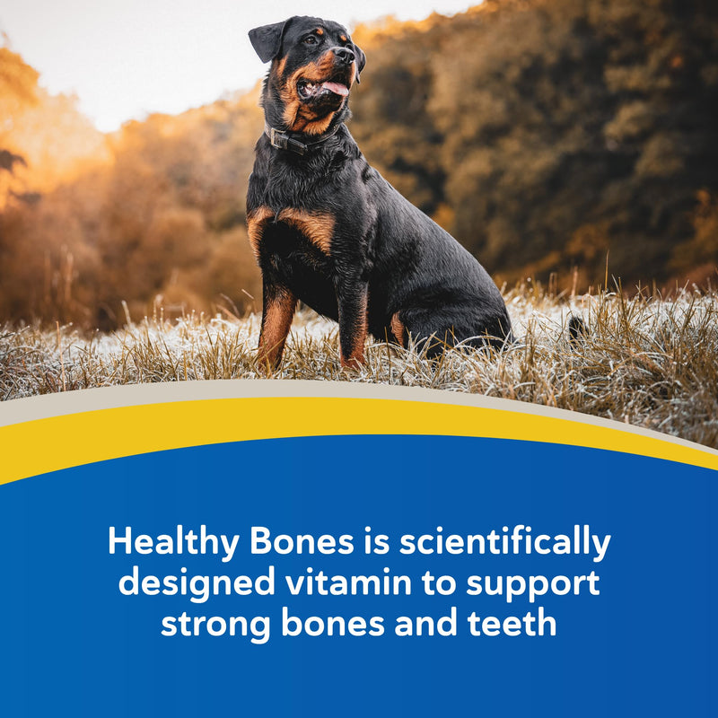 Doc Roys Healthy Bones Calcium and Phosphorus Chews for Dogs and Cats, Bone and Teeth Health Supplement with Vitamin D3, Roast Beef and Liver Flavor, 100 ct 100 ct - Chewable Tablets