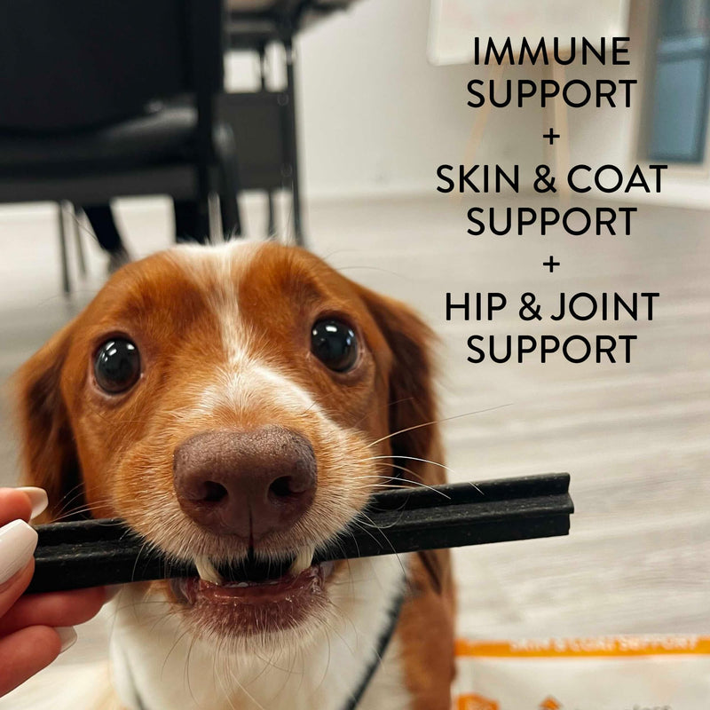 Shameless Pets Dental Treats for Dogs, Variety (3-Pack) - Healthy Dental Sticks for Teeth Cleaning & Fresh Breath - Dog Bones Dental Chews Free from Grain, Corn & Soy - PawsPlanet Australia