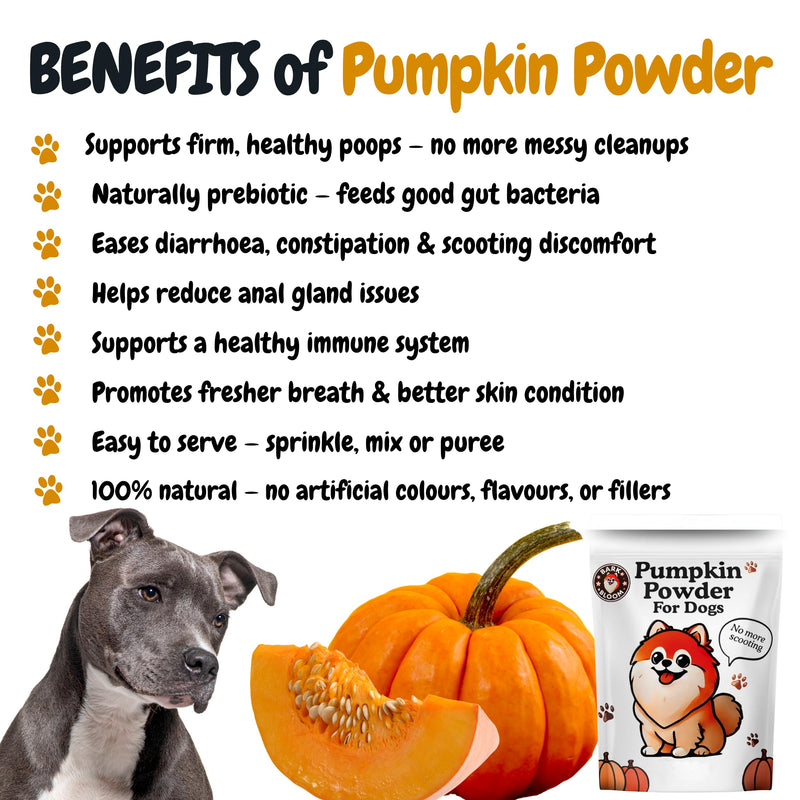 Bark & Bloom Pumpkin Powder for Dogs - Natural Fibre, Prebiotic Supplement & Gut Health Treat. Alternative to Puree, Canned Pumpkin for dogs, Ideal Natural Dog Treat and food topper stool firm