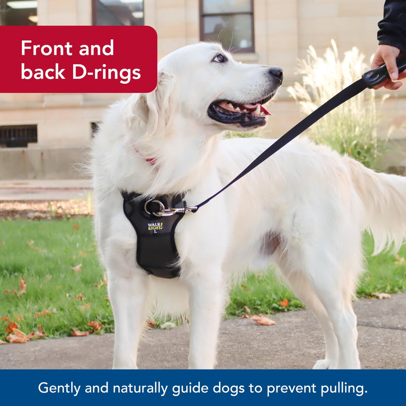 Coastal Pet Walk Right Front-Connect No-Pull Padded Dog Harness - Adjustable Dog Harness - Small & Large Dog Harness - Comfortable Harness for Dogs - Quality Dog Supplies - Black, LRG (26"-38") Large - 24"-38" girth - BeesActive Australia