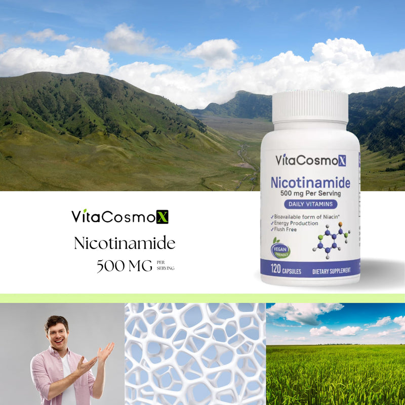 Nicotinamide 500mg Vitamin B3, 120 Capsules - Non-GMO, Gluten Free, Flush Free- 2 Packs
