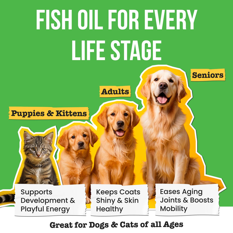 Omega 3 Fish Oil for Dogs - Made with Wild Alaskan Salmon Oil for Dogs; Liquid Fish Oil Supplement for Pets with Omega 3 EPA+DHA Fatty Acids; Real Ingredients, Real Taste — Trusted by Vets! 16 fl oz - BeesActive Australia