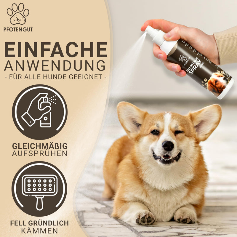 PFOTENGUT® Fur Care Spray Dog [250 ml] - care and detangling spray developed by veterinarians for silky, shiny fur [suitable for all dogs] - with jojoba oil and chamomile 250 ml (pack of 1) - BeesActive Australia