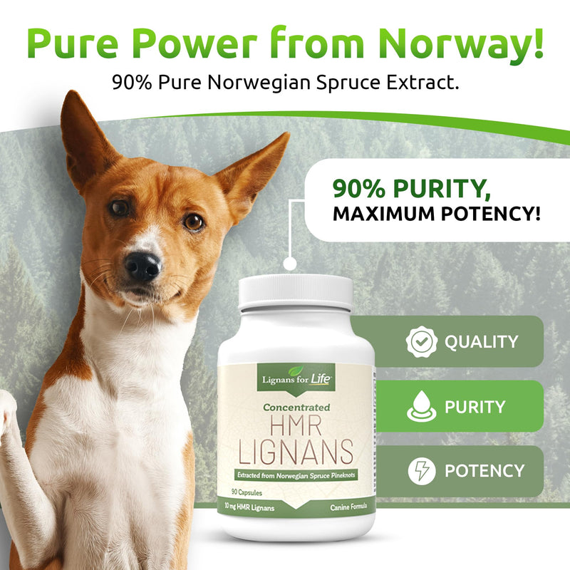 Lignans For Life HMR LIGNANS 10mg Capsules - Perfect for Small Dog Breeds - Vitamin for Healthy Pet | Multivitamin | Wellness Supplement | Nutritional 10mg, 90 Capsules