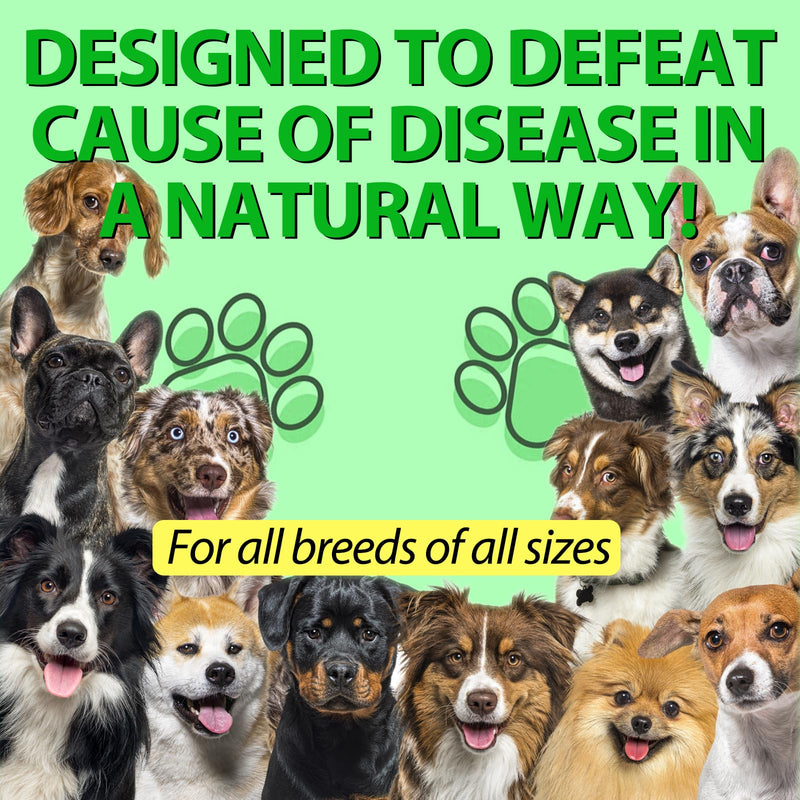 Natural Antibiotics for Dogs, Dog Antibiotics Supports Dog Allergy and Itch Relief, Dog Multivitamin, Pet Antibiotics, for All Breeds (2 Fl Oz) 2 Fl Oz - PawsPlanet Australia