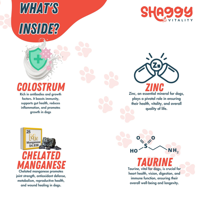 ShaggyVita Dog Vitamins and Supplements 9 in 1 for Immune System, Skin & Coat, all Ages - Dog Skin and Coat Supplement - Dog Supplements & Vitamins - Multivitamin for Dogs - Dog Vitamins Multivitamin - BeesActive Australia
