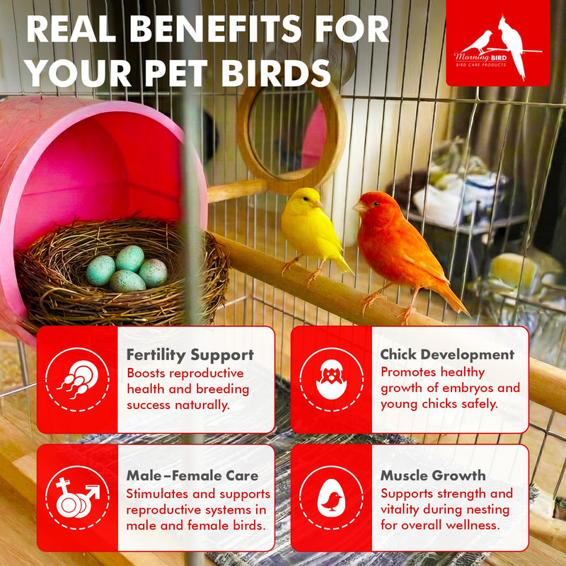 Morning Bird Nesting Nudge 4.5 Oz – Supports Reproductive Health & Energy – Stimulates Male and Female Reproductive Systems - Breeding Supplement with Essential Amino Acids & Vitamin D3