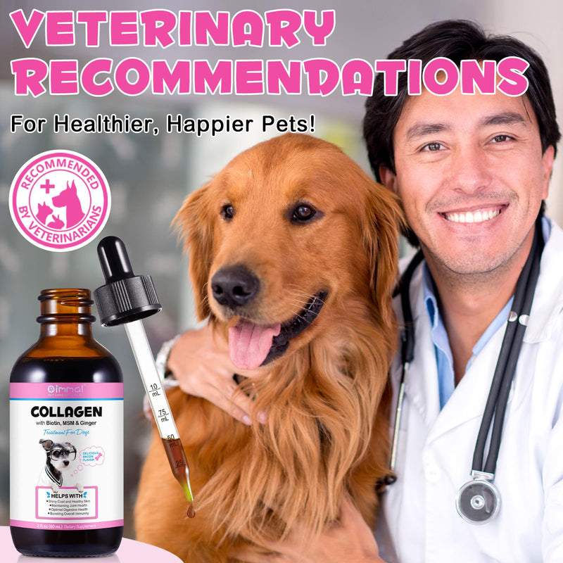 Daily Liquid Collagen for Dogs, Collagen for Dogs, Liquid Collagen for Dogs, Liquid Collagen Skin and Coat Supplement, Supoorts Allergy Itch Relief, Dog Collagen with Biotin, MSM & Ginger, 2 Fl.oz - PawsPlanet Australia