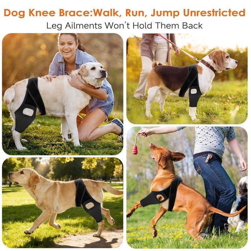 Jorme Dog Knee Brace for Torn ACL, Dog Leg Brace for Post-Surgery Recovery, Arthritis & Luxating Patella,Side Stabilizers, Breathable Neoprene, Adjustable Velcro & Belly Band,Front/Rear Legs (M) M