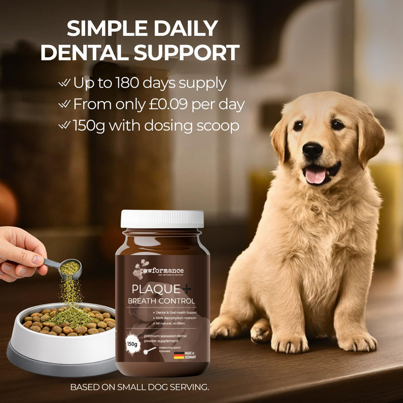 Dog Dental Powder for Plaque & Tartar | Made in Germany | 100% Natural Seaweed (Ascophyllum Nodosum) | Fresh Breath & Gum Support | No Brushing Required | 150g Pawformance