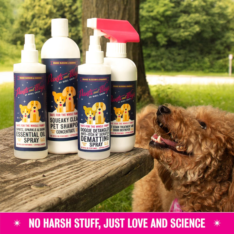 Rebel Green Pants & Wags Anti-Itch & Scratch Dematting Spray - Leave-in Detangler Spray for Dogs and Cats - Orange Blossom & Chamomile - Hypoallergenic - No Dyes or Perfumes - 8 oz - 2 Pack