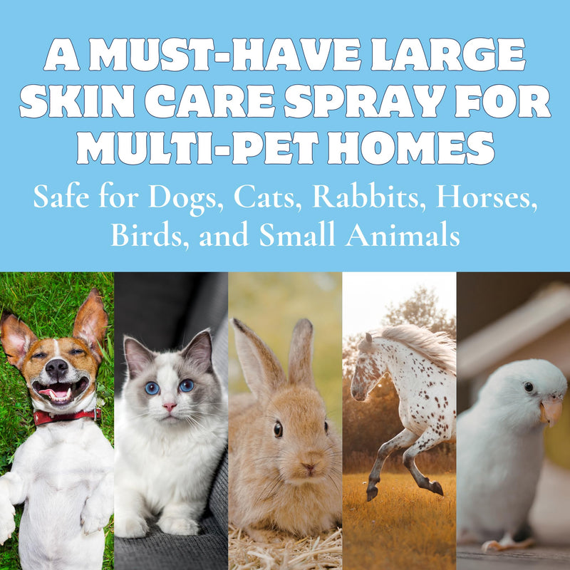 Canine Itch Care Hot Spot Spray & Itch Relief For Dogs. Remedy for Dog Itching, Dry Skin, Rash, Ringworm, Dermatitis, Itchy Paw, Irritation on Skin, Skin Allergy, Wound Care. 8 oz Ready To Use Spray