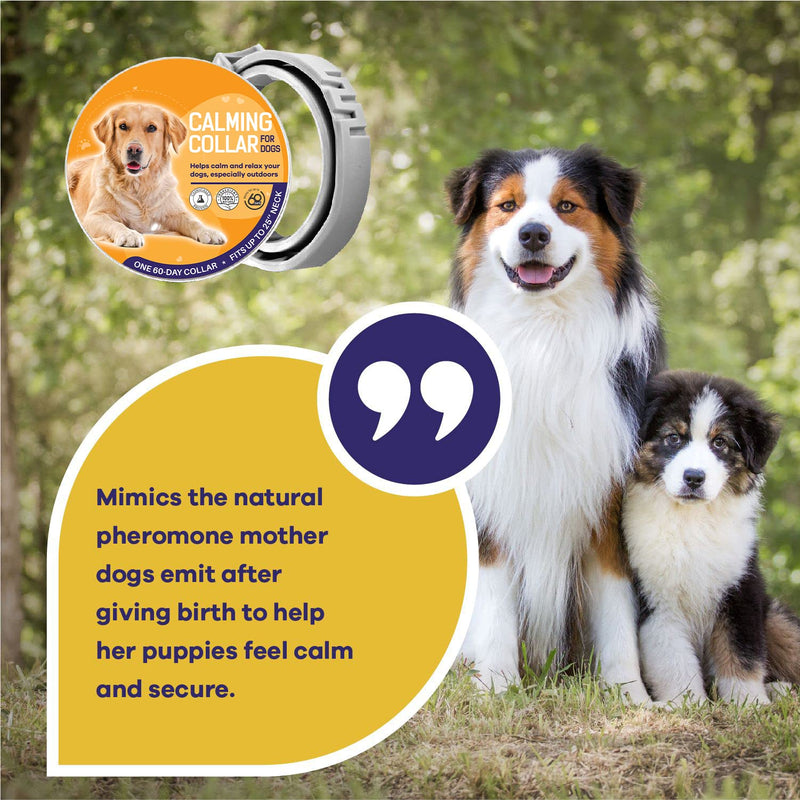 Calming Dog Collar 25 '' - Pheromone Dog Collar Safe Ingredient - Waterproof Calming Collar for Dogs - Dog Calming Collar for Relaxation - Flexible Dog Anxiety Relief Collar