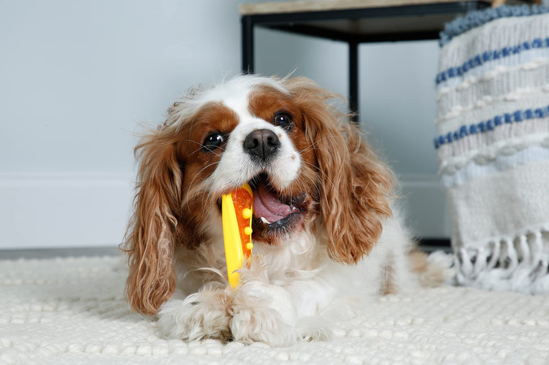 Hartz Chew 'n Clean Dental Duo Dog Treat & Chew Toy, Color Varies, Medium, 3 Pack Medium (Pack of 3) Orange, Green & Yellow - BeesActive Australia