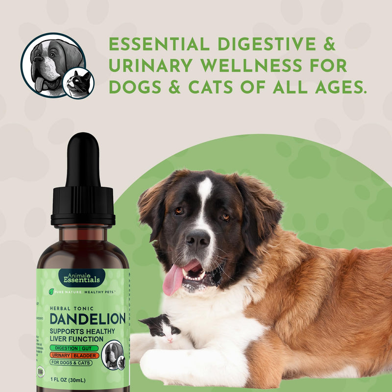 Animal Essentials Dandelion Extract for Dogs - Liquid Dandelion Root & Leaf Supplement, Liver & Kidney Support for Pets, Promotes Digestive Health, Natural Herbal Tonic for Dogs & Cats - 2 fl oz 2 Fl Oz (Pack of 1)
