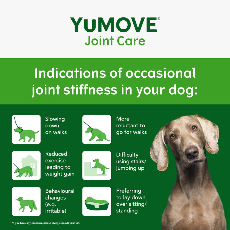 YuMOVE Senior Dog Joint Supplement, Daily Bites for Joint Care, Essential Dog Hip and Joint Aid for Senior Dogs Aged 8+, 60 Tablets - Eco Friendly and Letter Box Ready Packaging Eco-Friendly 60 Chews