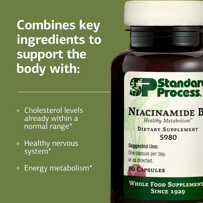 Standard Process Niacinamide B6 - Supports Energy Metabolism & Nervous System Health - Aids Blood Flow & Digestive Health with Niacin & Vitamin B6 - Non-Dairy - 90 Capsules