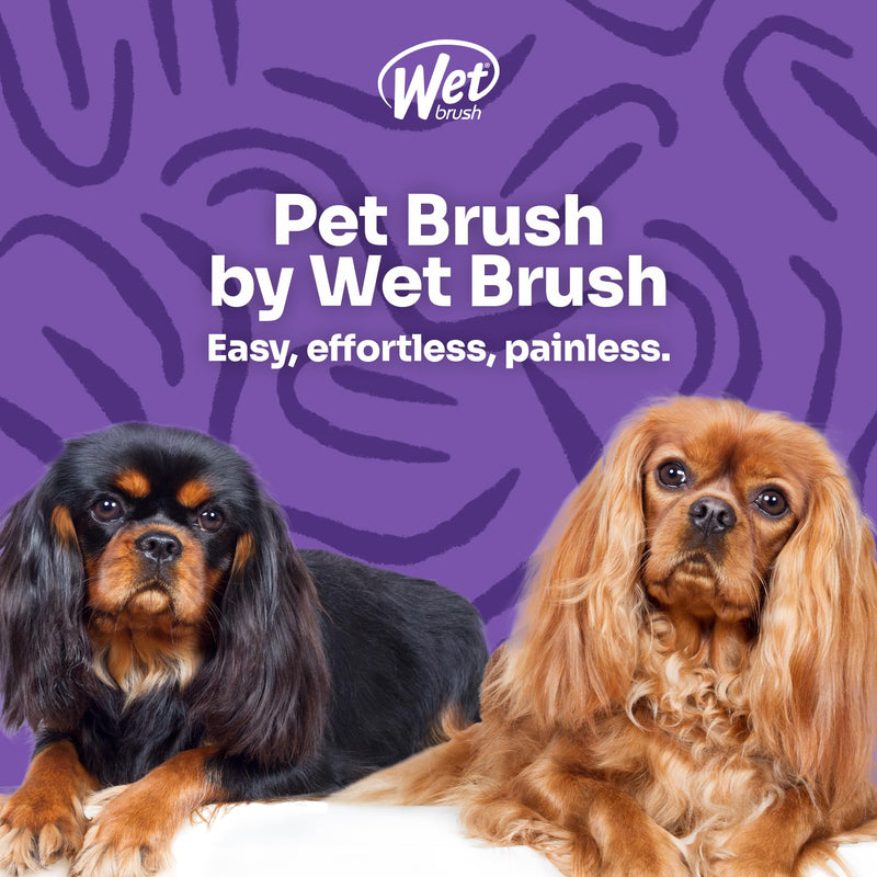 Wet Brush Ultimate Dual-Sided Detangling Brush - Ultra Soft IntelliFlex Bristles, Removes Loose Hair & Dirt for Dogs, Cats, Rabbits - Teal - BeesActive Australia