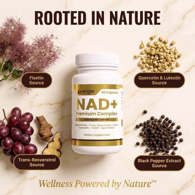 NAD+ Premium Complex 1600mg | Niacinamide Fisetin Quercetin Trans-Resveratrol CoQ10 Spermidine | Longevity Supplement Cellular Energy Healthy Aging Support | Vegan Non-GMO Gluten Free | 90 Capsules